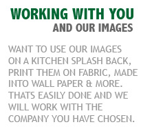 Printing our photos on fabric, splashbacks, wall paper