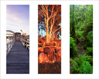 The Compilations gallery