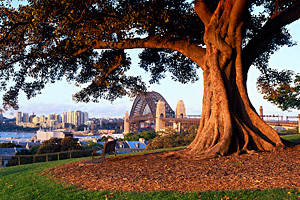Sydney Day Courses