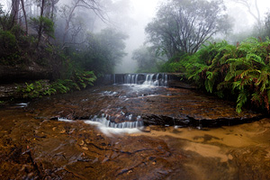 Blue Mountains Day Courses