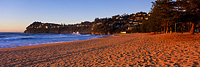 Whale Beach