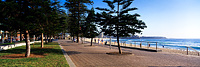 Manly Esplanade
