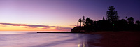 Collaroy Dawn