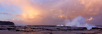 Narrabeen Headland