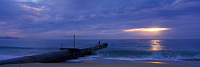Collaroy Fisherman