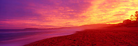 Magical Narrabeen