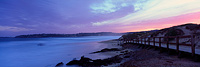 Dee Why Headland