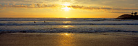 Manly Sunrise